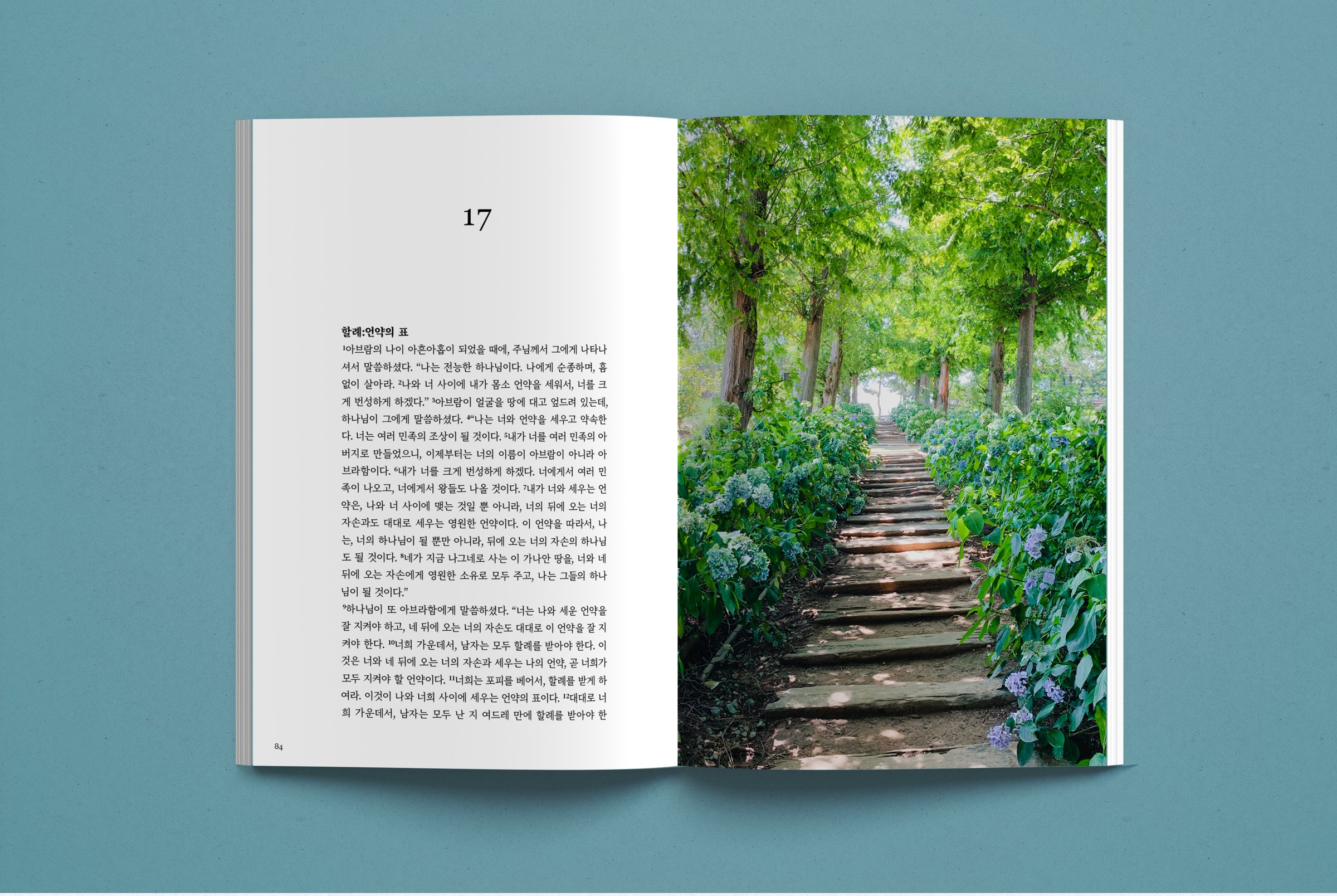 Genesis 17 spread: the covenant of circumcision text beside a stair path lined with hydrangeas
