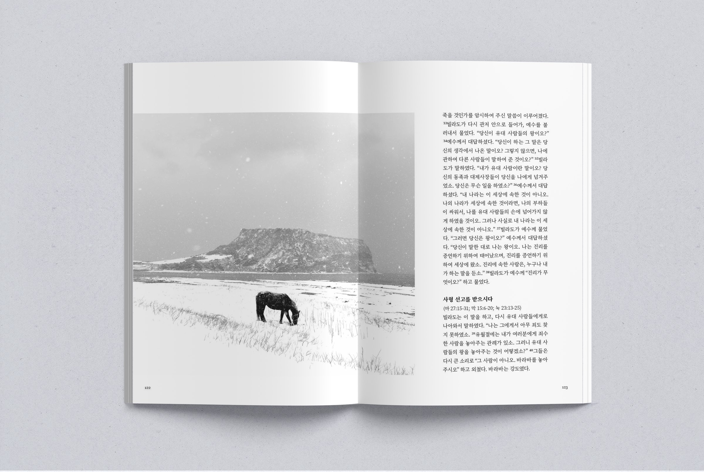 Interior spread: a black-and-white photograph of a horse in snow before a Jeju headland, beside Pilate's questions