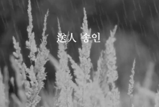 Letting You Go book trailer: rain on pale reeds, with the title 송인